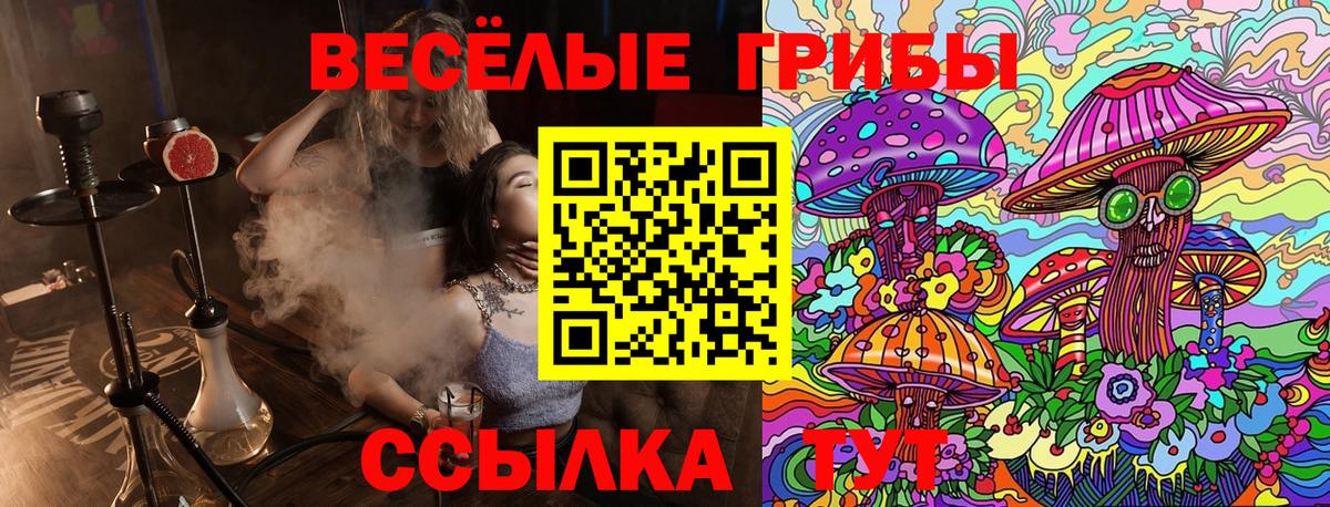 Миллерово  продажа наркотиков  Вход с VPN  Псилоцибиновые грибы Psilocybe 